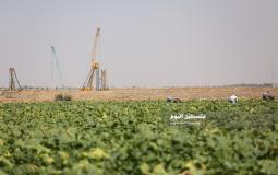 مزارعين على حدود غزة (3).JPG