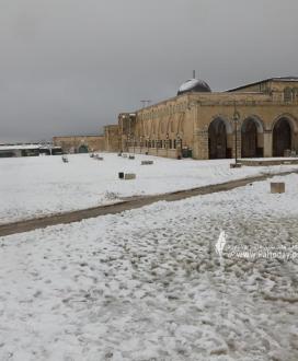 بالصور:القدس - الثلوج تكسو باحات المسجد الأقصى المبارك
